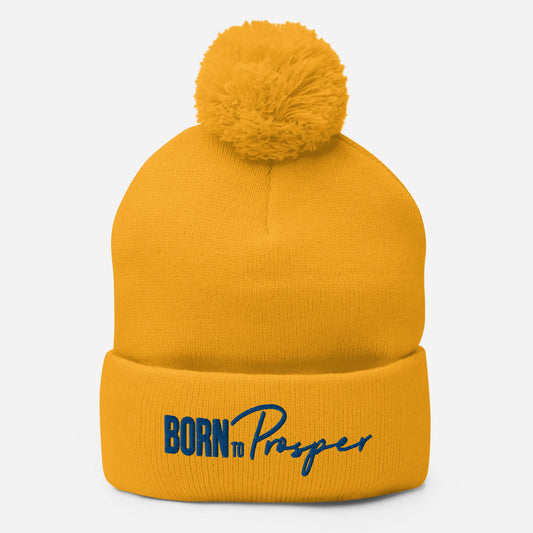 Poodles x B2P Beanie